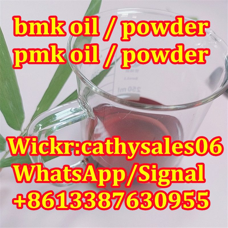 NEW BMK oil CAS 20320 bmk supplier NEW PMK oil new bmk oil CAS 20320-59-6 bmk liquid 5413-05-8 BMK supplier 16648-44-5