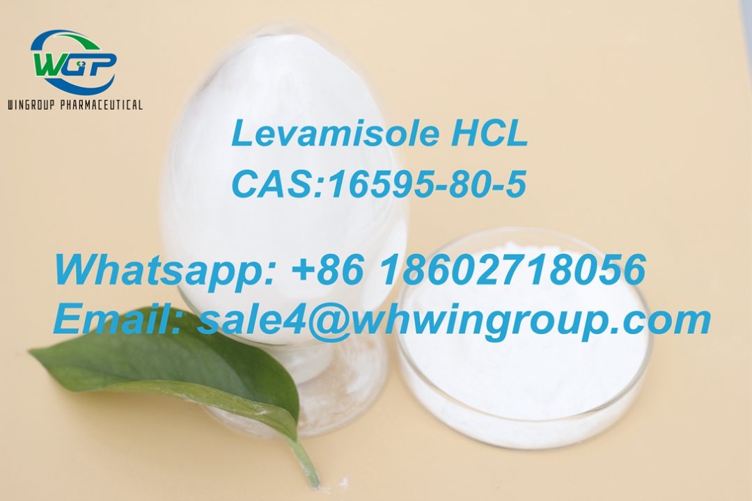 99% Levamisole Hydrochloride CAS 16595-80-5 Factory Direct Sales with Competitve Price