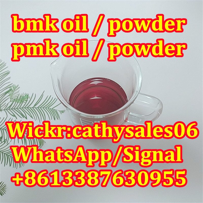 new pmk,new bmk glycidate 13605 pmk oil,new p,new p powder CAS 28578-16-7 NEW PMK oil / NEW bmk pmk glycidate